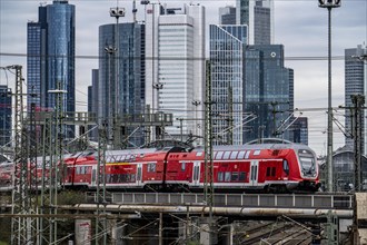 Regional train on the track in front of Frankfurt am Main main station, Skyline, Hesse, Germany,