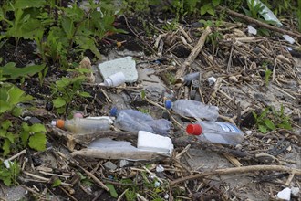 Symbolic image environmental pollution, plastic waste, rubbish, flotsam from a flood on the Neckar