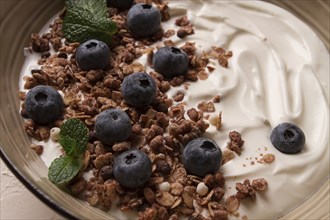 Yogurt with chocolate muesli, with berries, blueberries, breakfast, close-up, fork on top, no