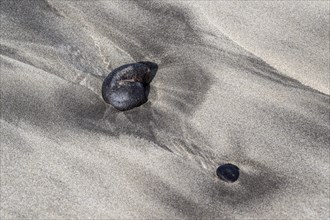 Polished lava stones on the beach, Playa de Famara, Lanzarote, Canary Islands, Spain, Europe