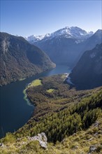 View of the Königssee with St. Bartholomä church, from the Rinnkendlsteig mountain hiking trail,