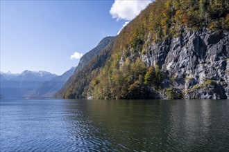 Rock face Echowand at Königssee, autumnal mountain landscape with lake, Berchtesgaden National