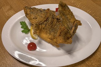 Baked Common carp (Cyprinus carpio) served in an inn, Franconia, Bavaria, Germany, Europe