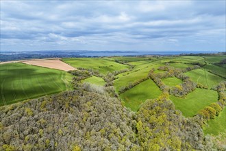 Forest, Farms and Farms over Long Wood and River Dart from a drone, Dartmouth, Kingswear, Devon,