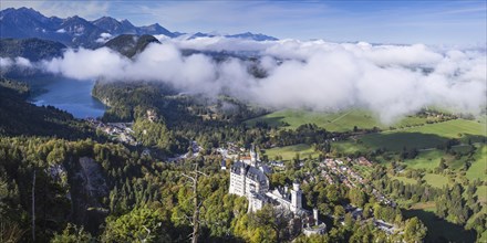 Neuschwanstein Castle and the Alpsee, near Hohenschwangau, Romantic Road, Ostallgäu, Bavaria,