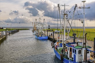 Siel harbour with shrimp boats and Kleiner Preusse lighthouse, Wremen, Wurster North Sea coast,