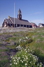 A church stands in a meadow of flowers under a clear blue sky, Zion Church, Ilulissat, Greenland,