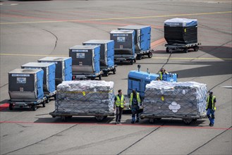 Amsterdam Airport Schiphol, aircraft at terminal, Gates D, check-in, apron, loading of air freight,