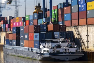 Container cargo ship in the harbour basin of the Logport, gantry cranes in the Container Handling