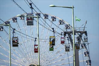 Rhine cable car, cabin above the Rhine, Ferris wheel at the zoo, Cologne, North Rhine-Westphalia,