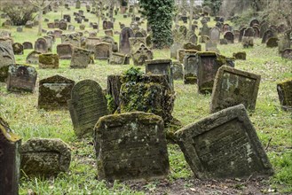 Jewish cemetery Heiliger Sand, Worms, Rhineland-Palatinate, Germany, Europe