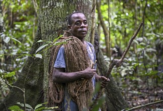 Pygmy of the Baka or BaAka people with his hunting net in the forest, Dzanga-Sangha Special Dense