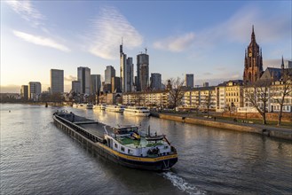 Skyline of the city centre of Frankfurt am Main, river Main, excursion boats at the Main quay,