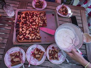 Fresh plum cake from the baking tray. Baden-Württemberg, Germany, Europe