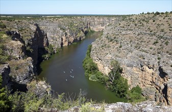 Canoes in the gorge on the River Duratón, Hoces del Rio Duratón Natural Park, Segovia province,