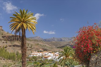 Fataga, Gran Canaria, Canary Islands, Spain, Fataga, Gran Canaria, Canary Islands, Spain, Europe