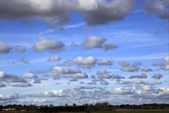 Cumulus clouds in blue sky over Bawdsey and Alderton, Suffolk, England, UK