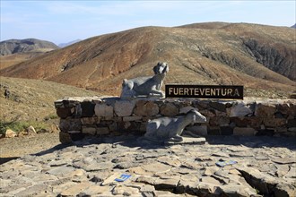 Mirador Sicasumbre mountain top viewpoint, Pajara, Fuerteventura, Canary Islands, Spain, Europe