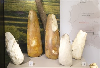 Close up of neolithic axes in display case. With permission of Wiltshire Museum, Devizes, England,