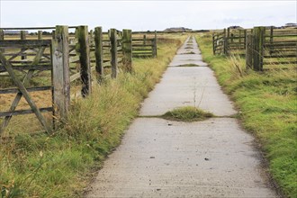 Orford Ness lighthouse Open Day, September 2017, Suffolk, England, UK, old military road crossing