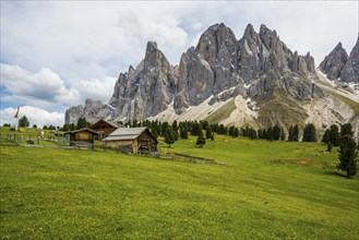 Gschnagenhardt Alm, Geislerspitzen, Villnöss Valley, Sass Rigais, Dolomites, South Tyrol, Italy,