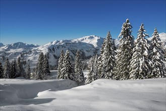 Snow-covered mountain landscape, Damüls, Bregenzerwald, Vorarlberg, Austria, Europe