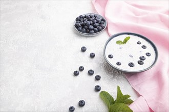 Yogurt with blueberry in ceramic bowl on gray concrete background and pink linen textile. Side