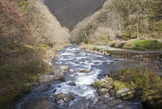 Looking downstream East Lyn River valley at Watersmeet, near Lynmouth, Exmoor national park, Devon,