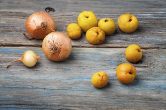 Fresh yellow fruits and onions on a blue rustic wooden background. Concept of contrast