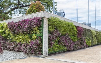 Vertical garden in the center of Kuala Lumpur, Malaysia, Asia