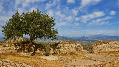 Ruins of ancient walls with a prominent tree in front, surrounded by a mountainous landscape,