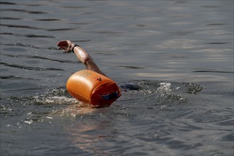 Open water swimmer, with marker buoy, in a lake, Wambachsee, 6-Seen-Platte, Duisburg, North