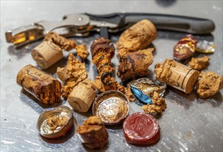 Wine cork, extracted from old, overaged wine bottles, partly crumbly, softened, rotten