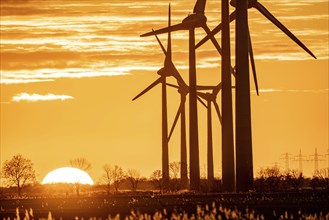 Wind farm near the East Frisian town of Norden, east of the town, sunset, Lower Saxony, Germany,