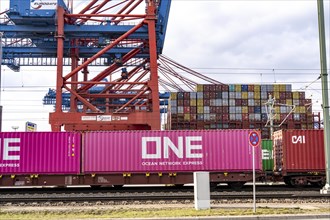 Port of Hamburg, Waltershofer Hafen, container ships, goods train brings and collects freight