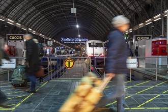 Frankfurt am Main main station, ICE train on platform, traveller, Hesse, Germany, Europe