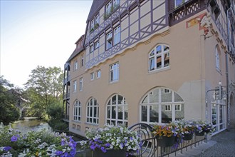 Historic house on the river Gera, Long Bridge, half-timbered house, floral decoration, Erfurt,