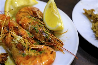 Prawns, scampi, tapas in a bar, food, Barcelona, Catalonia, Spain, Europe