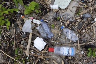 Symbolic image Environmental pollution, plastic waste, rubbish, flotsam from a flood on the Neckar