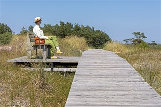 Elderly, woman sitting on bench, wooden footbridge, reed grass, trees, circular hiking trail,