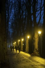 The Burgallee in Düsseldorf-Kaiserswerth, tree-lined avenue, at the old imperial palace, on the