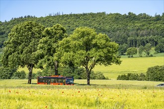 Country road between Hirschberg and Warstein, local bus, public transport, bus transport,