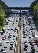 The A3 motorway, heavy traffic on 8 lanes, including the temporarily open hard shoulder, in front