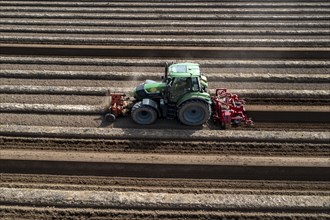 A farmer builds asparagus ridges on a field with the help of an asparagus tiller, in which the