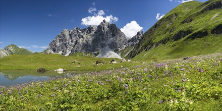 Eissee, Oytal, behind it Großer Wilder, 2379m, Hochvogel- and Rosszahngruppe, Allgäu Alps, Allgäu,