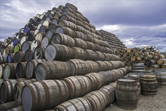 Huge stacks of discarded whisky casks, barrels at Speyside Cooperage, Craigellachie, Aberlour,