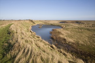 Lagoons behind shingle bay bar Hollesley Bay, near Shingle Street, Suffolk, England, United