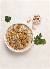 Champignons in creamy garlic sauce, with herbs and spices, gravy, sauce, no people