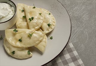 Pierogi, a traditional dish of Polish cuisine, dumplings, top view, close-up, no people