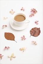 Composition with brown beech autumn leaves, hydrangea flowers and cup of coffee. mockup on white